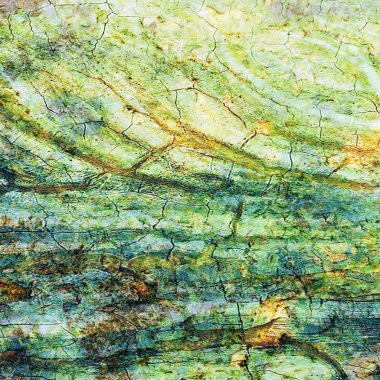 son derece ayrıntılı arka plan doku veya grunge