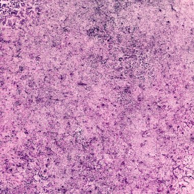 metin veya resim için alanı olan grunge arkaplanı