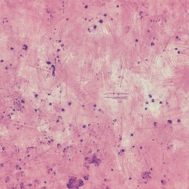 metin veya resim için alanı olan grunge arkaplanı