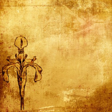 eski doku veya arka plan