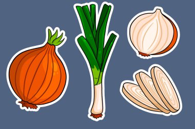 Pruva hazır. Taze taze soğan ve soğan. Çizgi film stili çıkartmalarla. Tasarım ve dekorasyon için vektör illüstrasyonu.