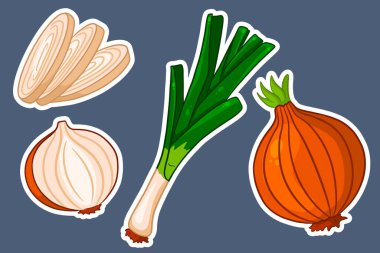 Pruva hazır. Taze taze soğan ve soğan. Çizgi film stili çıkartmalarla. Tasarım ve dekorasyon için vektör illüstrasyonu.