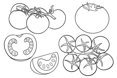 Domatesler hazır. Taze domatesler, dalda domatesler, bir buçukluk. Sıra halinde. Tasarım ve dekorasyon için vektör illüstrasyonu.