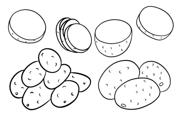 Conjunto Batatas Batatas Inteiras Cortadas Cunhas Metade Estilo Linha Ilustração — Vetor de Stock