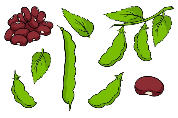 豆セット 新鮮な緑豆と赤豆 漫画風です デザインと装飾のためのベクトルイラスト — ストックベクタ