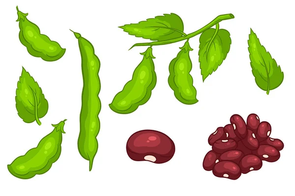 豆セット 新鮮な緑豆と赤豆 漫画風です デザインと装飾のためのベクトルイラスト — ストックベクタ