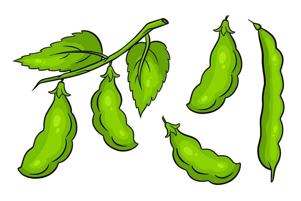 Haricots Prêts Haricots Verts Frais Dans Style Dessin Animé Illustration — Image vectorielle