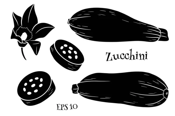 Zucchini Set Vorhanden Frisch Geschnittene Zucchini Und Blüten Silhouette Vektor — Stockvektor