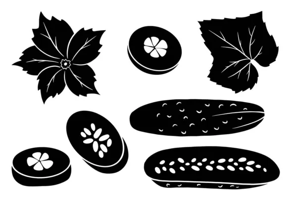 黄瓜套装Cucumber Set 新鲜的黄瓜 半个黄瓜 花和叶子 用于设计和装饰的矢量插图 — 图库矢量图片
