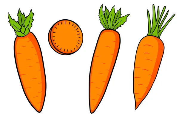 Морковный Набор Свежая Морковь Ломтики Стиле Мультфильма Векторная Иллюстрация Оформления — стоковый вектор