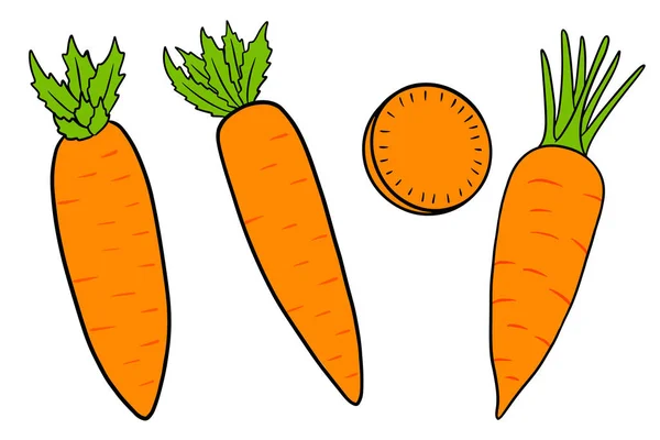 Conjunto Zanahorias Zanahorias Frescas Rebanadas Estilo Dibujos Animados Ilustración Vectorial — Vector de stock