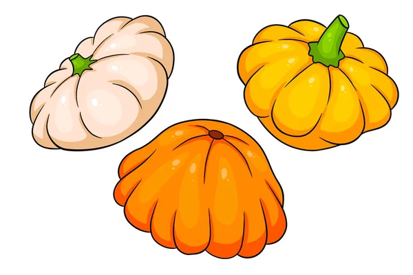 Set Calabazas Calabaza Fresca Amarilla Naranja Beige Estilo Dibujos Animados — Vector de stock