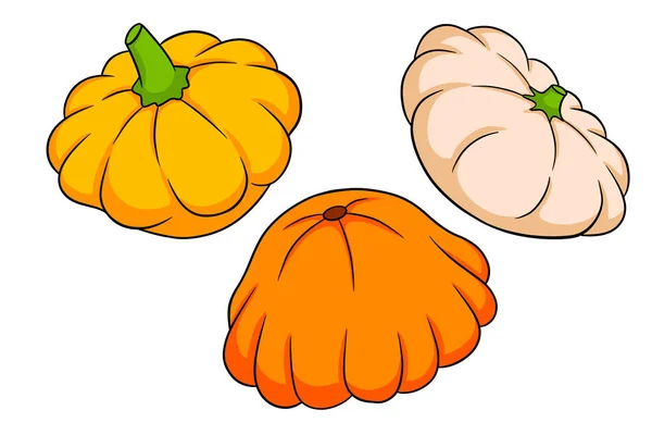 Set Zucche Zucca Fresca Gialla Arancione Beige Stile Cartone Animato — Vettoriale Stock
