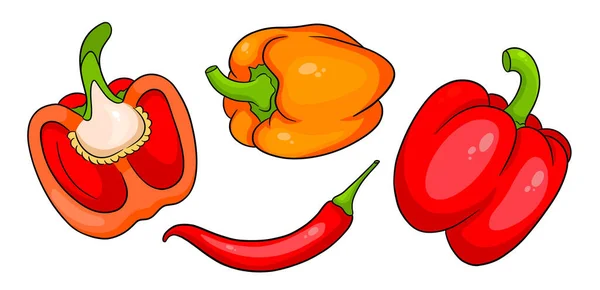 佩珀设置 新鲜的甜椒和热的辣椒 在一个卡通风格 用于设计和装饰的矢量插图 — 图库矢量图片