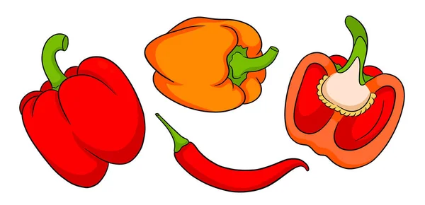 Pepper Set Fresh Bell Peppers Hot Peppers Cartoon Style Vector — Stock Vector