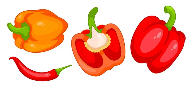 Pepper Set Fresh Bell Peppers Hot Peppers Cartoon Style Vector — Stock Vector