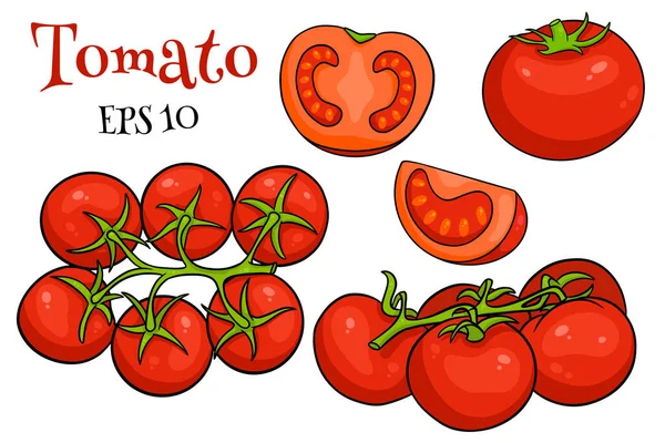 Tomatenset Frische Tomaten Tomaten Auf Einem Zweig Anderthalb Keile Cartoon — Stockvektor