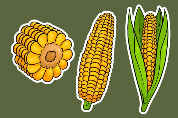 Кукурузный Набор Свежая Кукуруза Листьями Карикатурном Стиле Векторная Иллюстрация Оформления — стоковый вектор