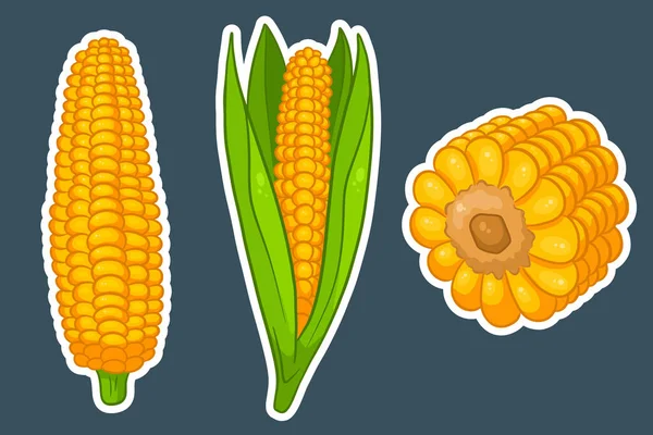 Corn Set Fresh Corn Cobs Leaves Cartoon Style Stickers Vector — Stock Vector