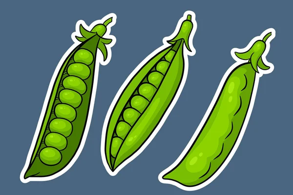 豌豆设置 封闭和开放的绿色豌豆豆荚 卡通画风格贴纸 用于设计和装饰的矢量插图 — 图库矢量图片#
