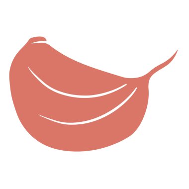 Taze sarımsak. Soyulmamış sarımsaklı karanfil. Mutfak için sebze malzemesi. Çizgi film tarzı. Tasarım ve dekorasyon için vektör illüstrasyonu.