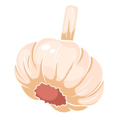 Taze sarımsak. Bir baş sarımsak. Mutfak için sebze malzemesi. Çizgi film tarzı. Tasarım ve dekorasyon için vektör illüstrasyonu.