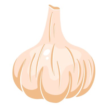 Taze sarımsak. Bir baş sarımsak. Mutfak için sebze malzemesi. Çizgi film tarzı. Tasarım ve dekorasyon için vektör illüstrasyonu.