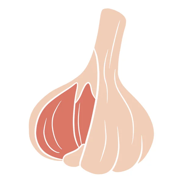新鲜大蒜 大蒜头 厨房的蔬菜配料 卡通风格 用于设计和装饰的矢量插图 — 图库矢量图片
