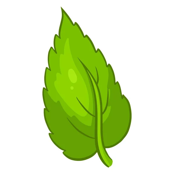 Fresh Leaves Carved Green Leaf Cartoon Style Vector Illustration Design — Stock Vector