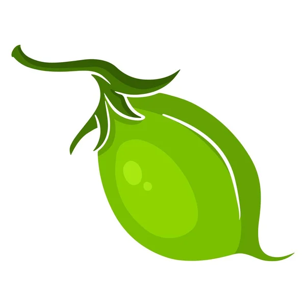 Kichererbsen Frisch Junge Grüne Kichererbsen Zutat Für Gerichte Cartoon Stil — Stockvektor