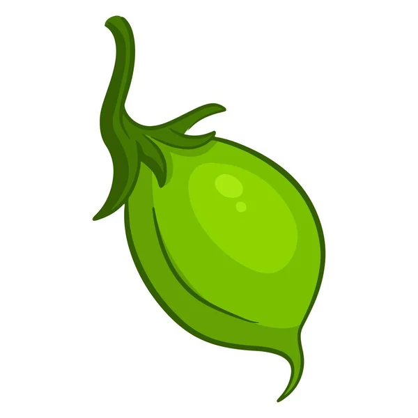 新鲜的鹰嘴豆年轻的绿色鹰嘴豆 菜的配料 卡通风格 用于设计和装饰的矢量插图 — 图库矢量图片