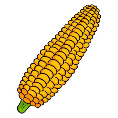 Taze mısır. Yapraklardan soyulmuş mısır. Mutfak için sebze malzemesi. Çizgi film tarzı. Tasarım ve dekorasyon için vektör illüstrasyonu.