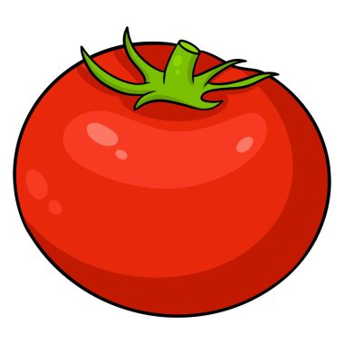 Taze domates. Yapraklı parlak domates. Mutfak için sebze malzemesi..