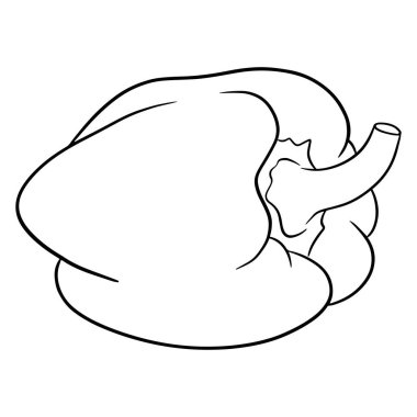 Taze biber. Dolmalık biber. Mutfak için sebze malzemesi..