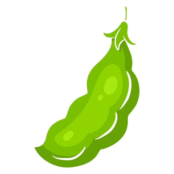 新鲜的豆子绿色的青豆 菜的配料 卡通风格 用于设计和装饰的矢量插图 — 图库矢量图片