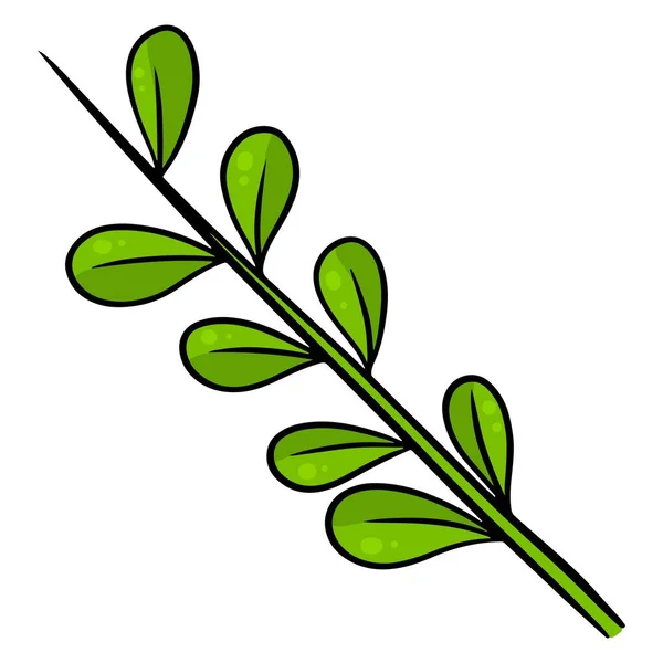 Folhas Frescas Folha Verde Esculpida Estilo Dos Desenhos Animados Ilustração —  Vetores de Stock
