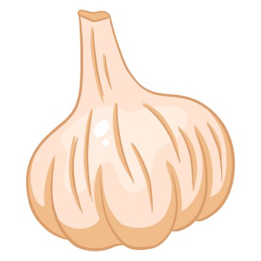 Taze sarımsak. Bir baş sarımsak. Mutfak için sebze malzemesi. Çizgi film tarzı. Tasarım ve dekorasyon için vektör illüstrasyonu.