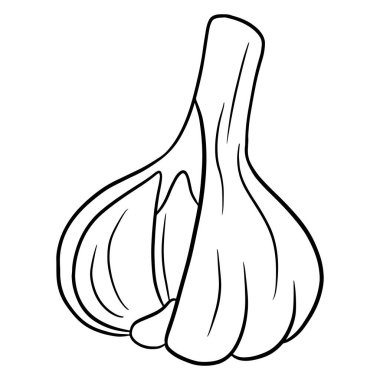 Taze sarımsak. Bir baş sarımsak. Mutfak için sebze malzemesi. Çizgi tarzı. Tasarım ve dekorasyon için vektör illüstrasyonu.