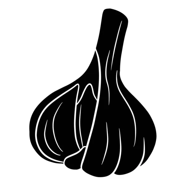 新鲜大蒜 大蒜头 厨房的蔬菜配料 用于设计和装饰的矢量插图 — 图库矢量图片