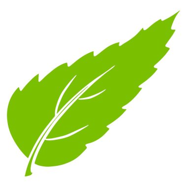 Taze yapraklar. Oyulmuş yeşil yaprak. Çizgi film tarzı. Tasarım ve dekorasyon için vektör illüstrasyonu.