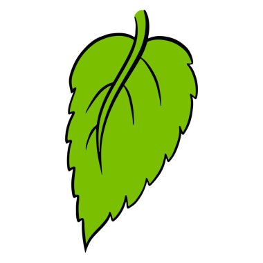 Taze yapraklar. Oyulmuş yeşil yaprak. Çizgi film tarzı. Tasarım ve dekorasyon için vektör illüstrasyonu.