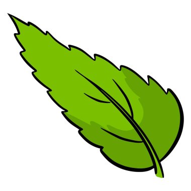 Taze yapraklar. Oyulmuş yeşil yaprak. Çizgi film tarzı. Tasarım ve dekorasyon için vektör illüstrasyonu.