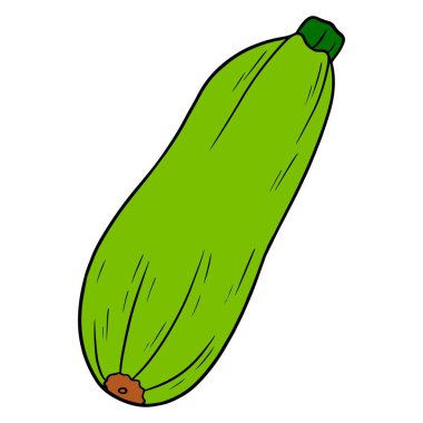 Taze kabak. Büyük yeşil sebze iliği. Mutfak malzemesi. Çizgi tarzı. Tasarım ve dekorasyon için vektör illüstrasyonu.