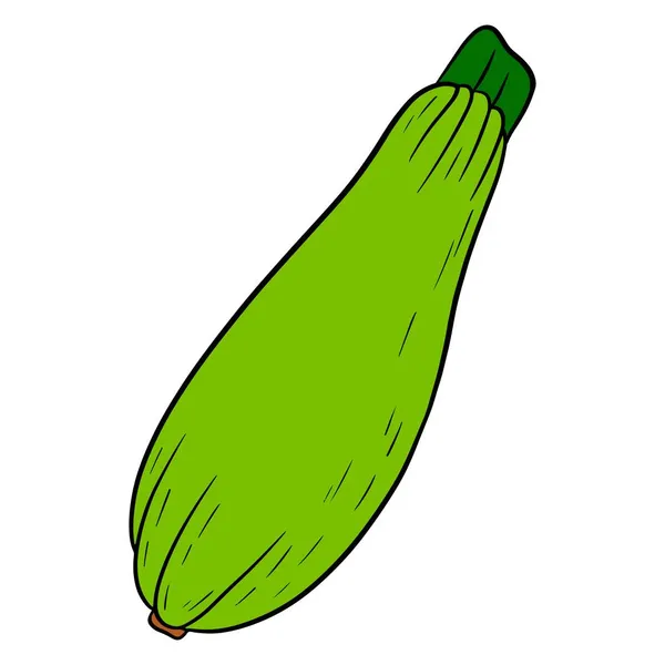 Färsk Zucchini Stor Grön Grönsaksmärg Ingrediens För Köket Linjestil Vektor — Stock vektor