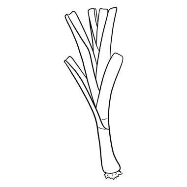 Taze soğan. Yeşil pırasa. Bulaşık malzemeleri. Çizgi tarzı. Tasarım ve dekorasyon için vektör illüstrasyonu.