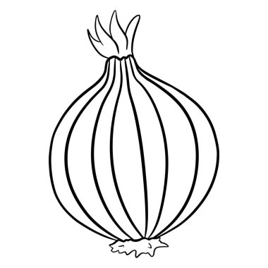 Taze soğan. Yapraklı soğan. Bulaşık malzemeleri. Çizgi tarzı. Tasarım ve dekorasyon için vektör illüstrasyonu.