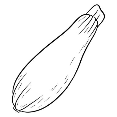 Taze kabak. Büyük yeşil sebze iliği. Mutfak malzemesi. Çizgi tarzı. Tasarım ve dekorasyon için vektör illüstrasyonu.