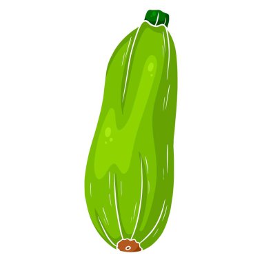 Taze kabak. Büyük yeşil sebze iliği. Mutfak malzemesi. Çizgi tarzı. Tasarım ve dekorasyon için vektör illüstrasyonu.