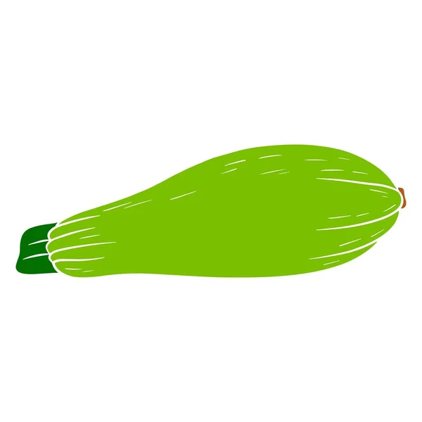 Zucchine Fresche Grande Midollo Vegetale Verde Ingrediente Cucina Stile Linea — Vettoriale Stock