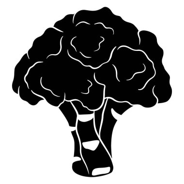 Taze brokoli. Yeşil brocooli 'nin parlak bir çizimi. Mutfak malzemesi. Siluet. Tasarım ve dekorasyon için vektör illüstrasyonu.